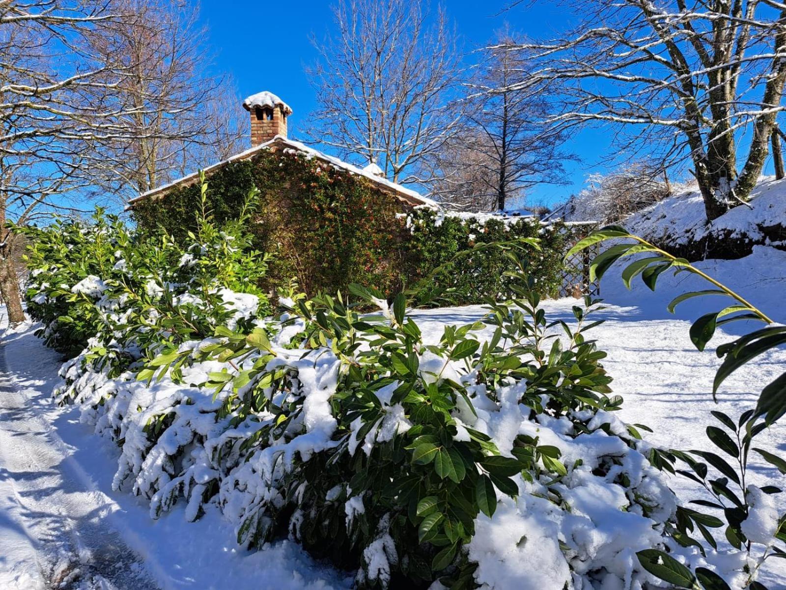 Torre Camigliati Dimora Storica Hotel Camigliatello Silano Exterior foto